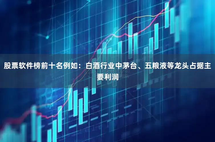 股票软件榜前十名例如：白酒行业中茅台、五粮液等龙头占据主要利润