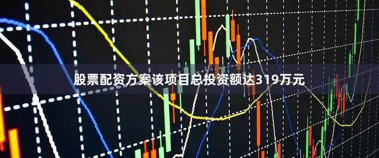 股票配资方案该项目总投资额达319万元