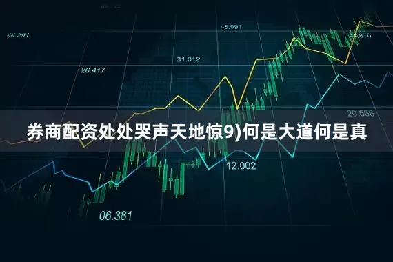 券商配资处处哭声天地惊9)何是大道何是真